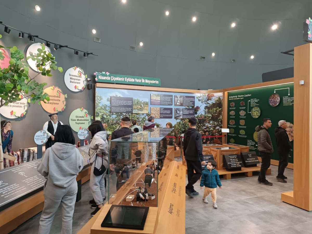 BÜYÜKŞEHİR’İN MÜZELERİ, 9 GÜNLÜK BAYRAM TATİLİ BOYUNCA 61 BİN ZİYARETÇİYİ AĞIRLADI