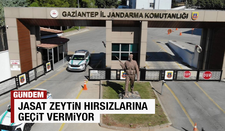JASAT ZEYTİN HIRSIZLARINA GEÇİT VERMİYOR