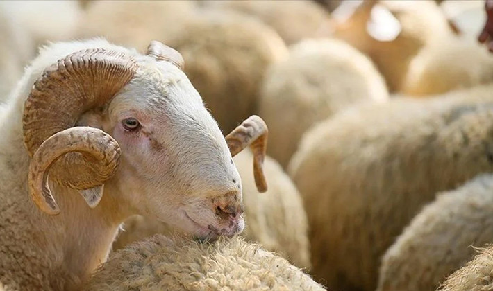 Kurban Bayramı'nda tatil kaç gün olacak?