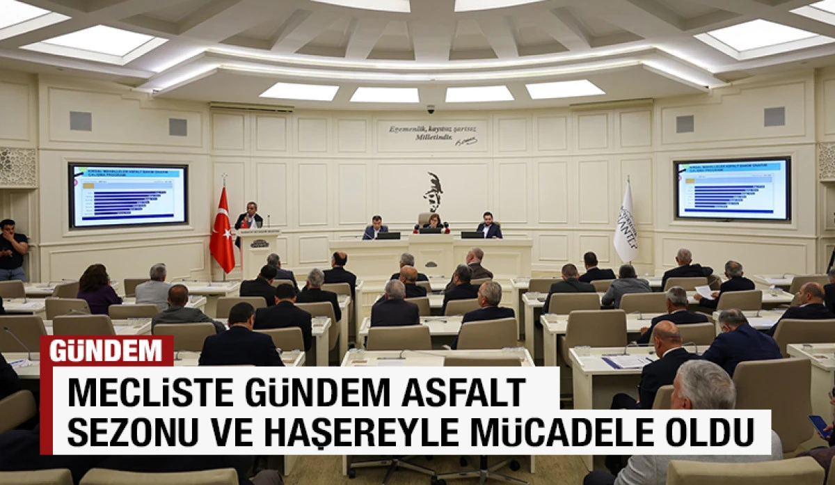 MECLİSTE G&Uuml;NDEM ASFALT SEZONU VE HAŞEREYLE M&Uuml;CADELE OLDU