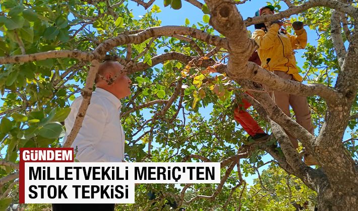 MİLLETVEKİLİ MERİÇ’TEN STOK TEPKİSİ